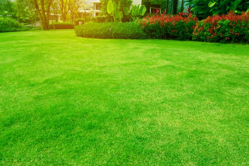 Lawn Landscaping detail