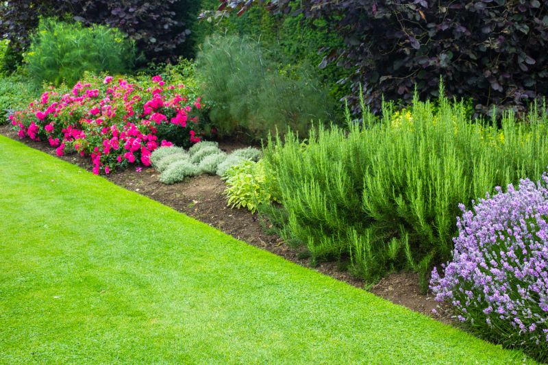 Vibrant Garden Designs