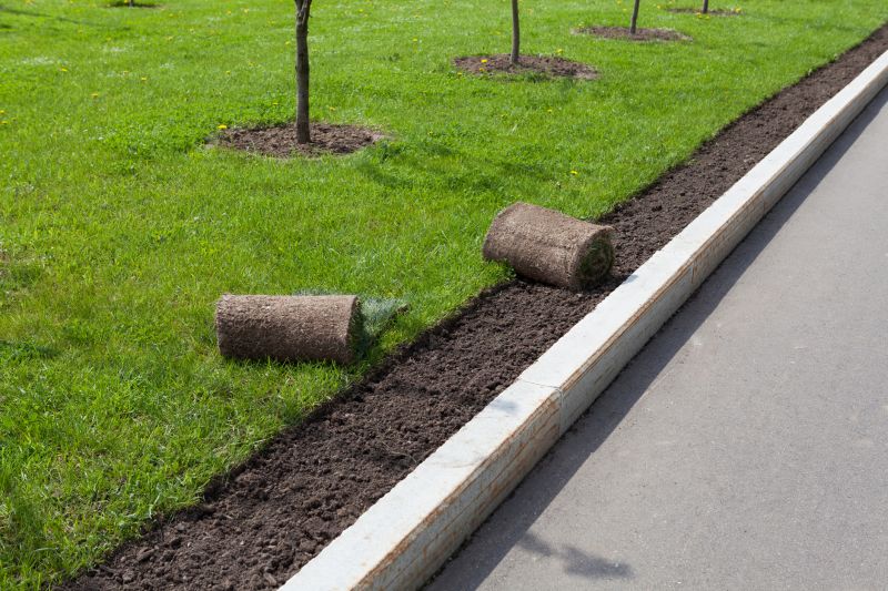 Lawn Curbing Service