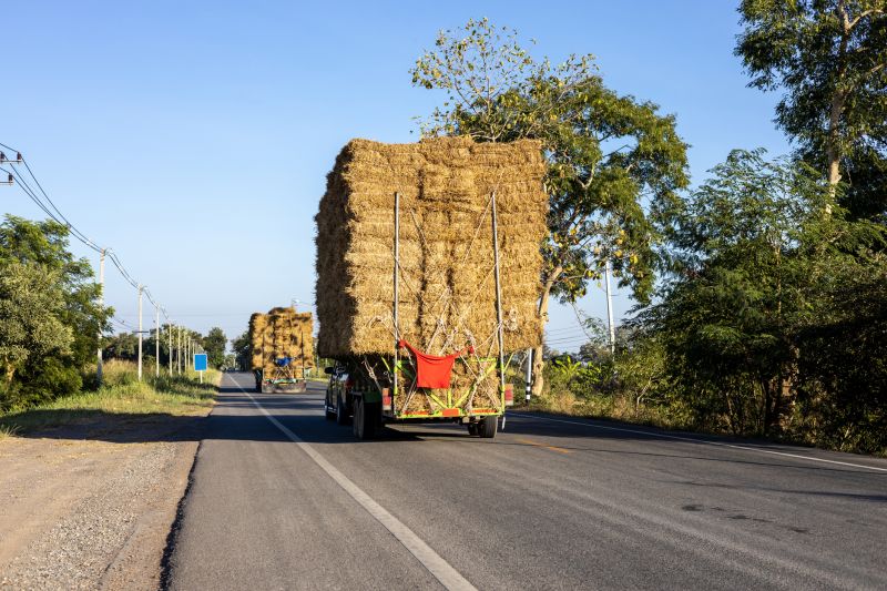 Pine Straw Spreading