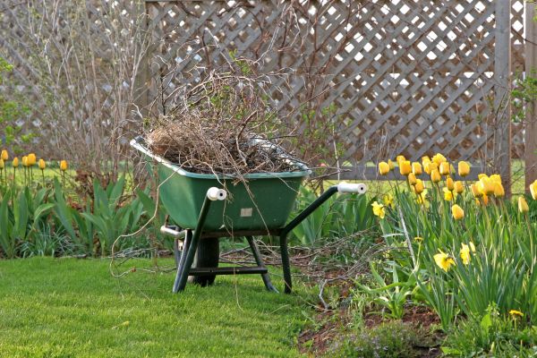 Flower Bed Cleanup Service in Anderson
