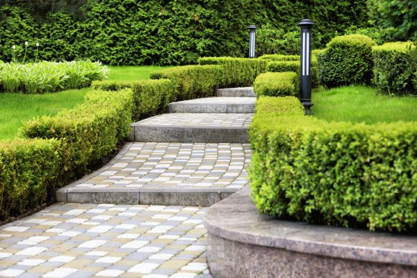 Backyard Remodeling in Anderson