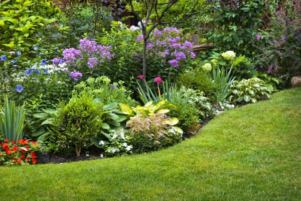 Flower Bed Service in Anderson