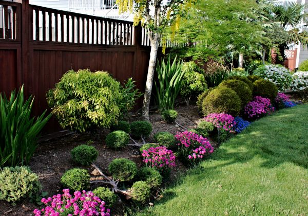 Garden Care Service in Anderson
