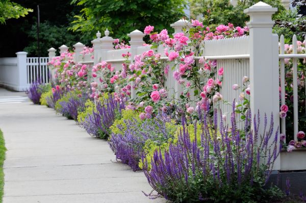Garden Handyman Service in Anderson