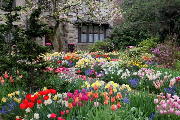 Garden Maintenance Service in Anderson