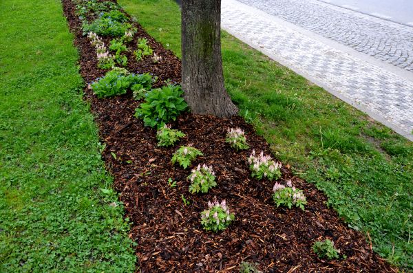 Mulch Replacement Service in Anderson