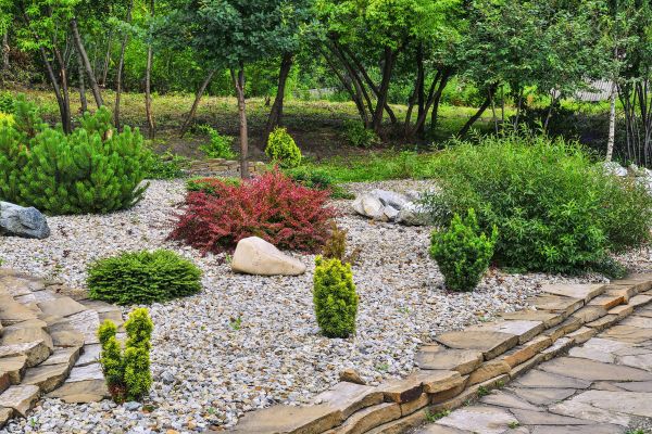 Rock Landscaping in Anderson