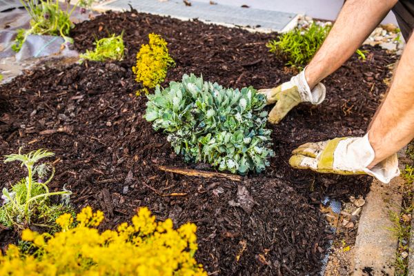 Weeding And Mulching in Anderson