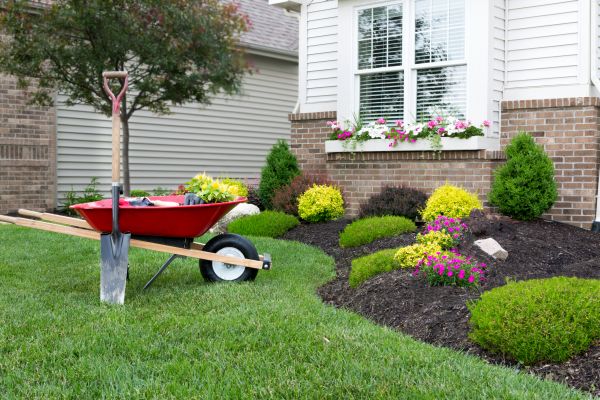 Landscape Maintenance Service in Anderson