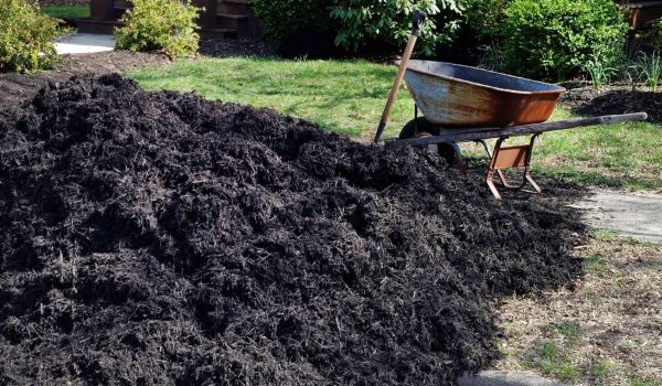 Black Mulch Delivery in Anderson