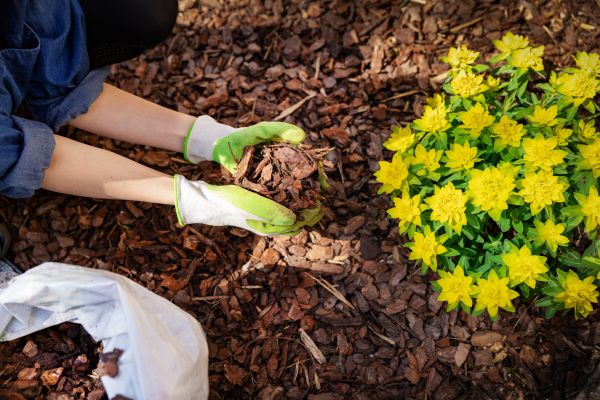 Garden Mulching in Anderson