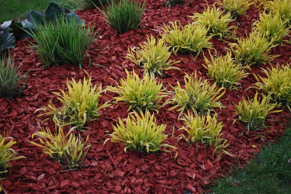 Mulch Landscaping in Anderson