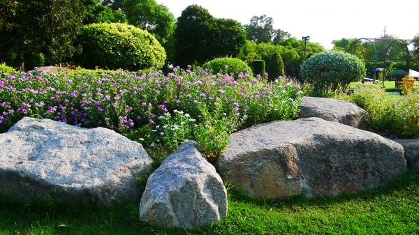Boulder Landscaping in Anderson