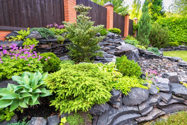 Landscape Remodeling in Anderson