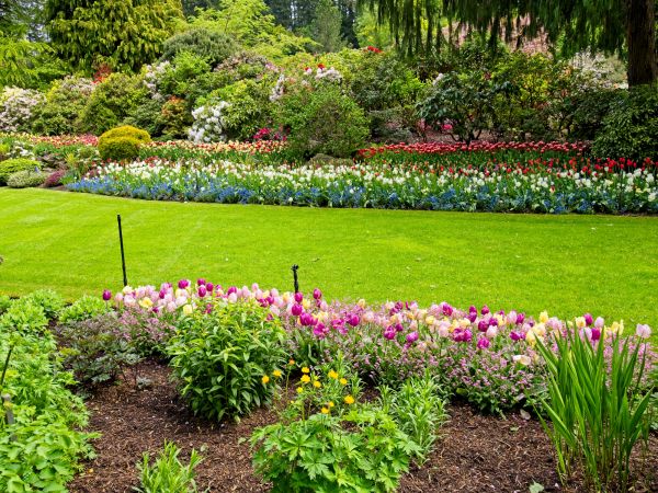 Residential Landscape Design in Anderson