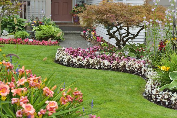 Perennial Landscaping in Anderson
