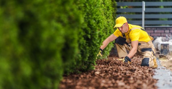 Cypress Mulch Installation in Anderson