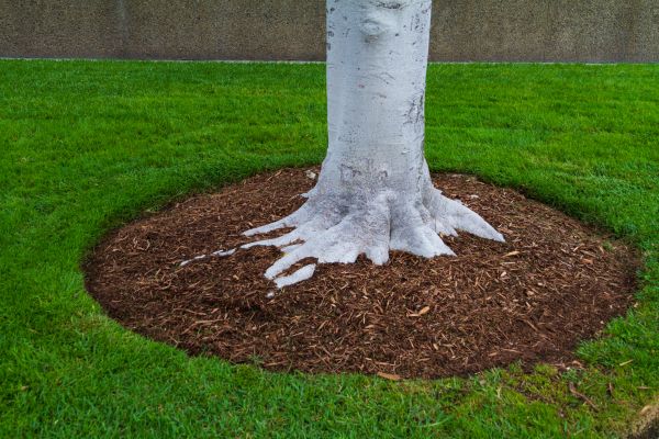 Brown Mulch Installation in Anderson