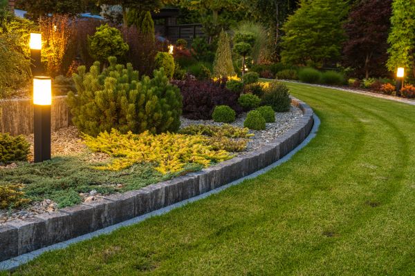 Garden Repair Service in Anderson