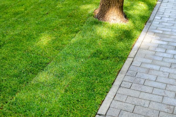Border Stone Installation in Anderson