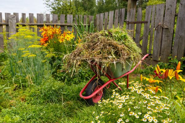 Garden Cleanup Service in Anderson