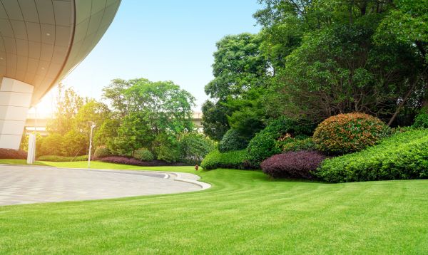 Business Landscape Design in Anderson