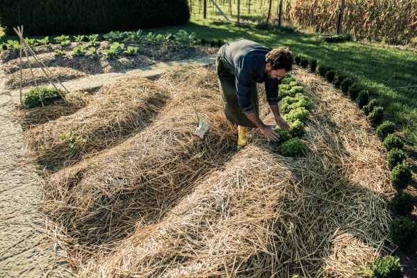 Straw Mulching Service in Anderson