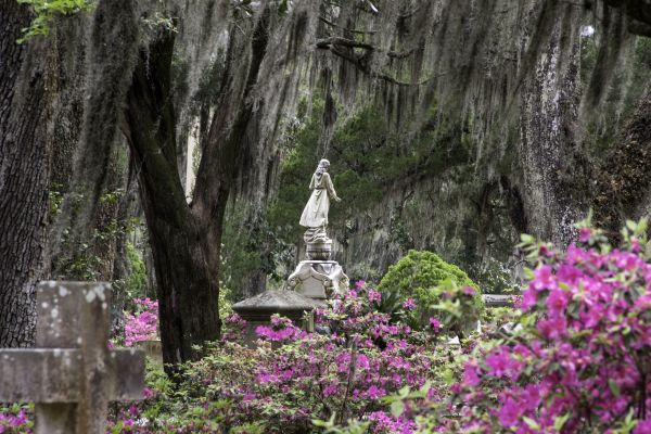 Cemetery Landscaping in Anderson