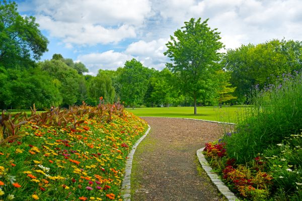 Park Landscaping in Anderson