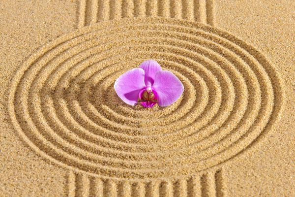 Sand Garden Landscaping in Anderson