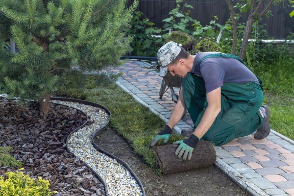 Landscaping Modification in Anderson
