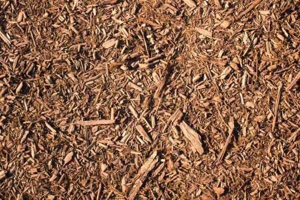 Wood Chips Removal in Anderson