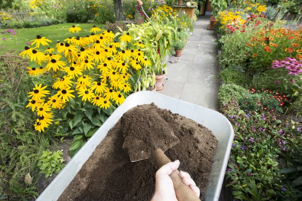 Topsoil Replacement in Anderson