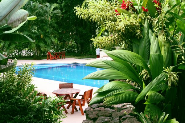 Pool Area Landscaping in Anderson