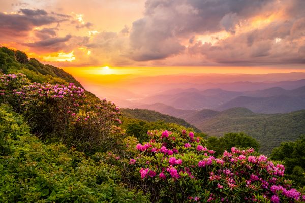 Hill Landscaping in Anderson
