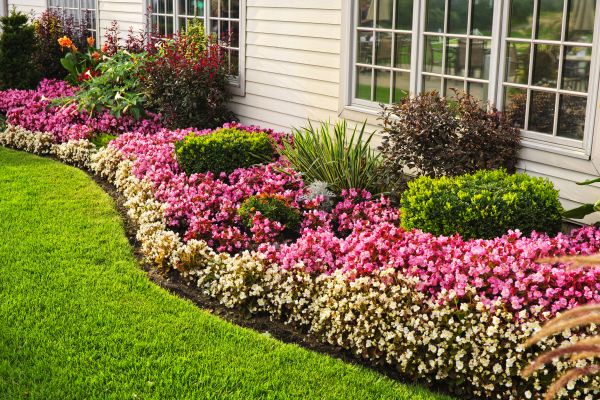 House Landscaping in Anderson