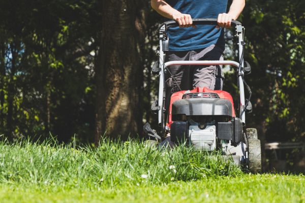 Garden Trimming Service in Anderson