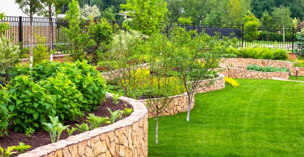 Yard Makeover Service in Anderson