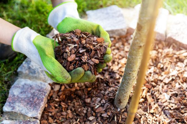 Tree Bark Delivery in Anderson