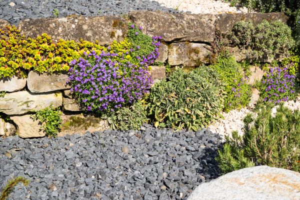 Landscaping Rocks Installation in Anderson