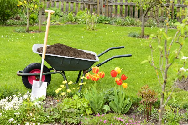 Spring Yard Renovation in Anderson