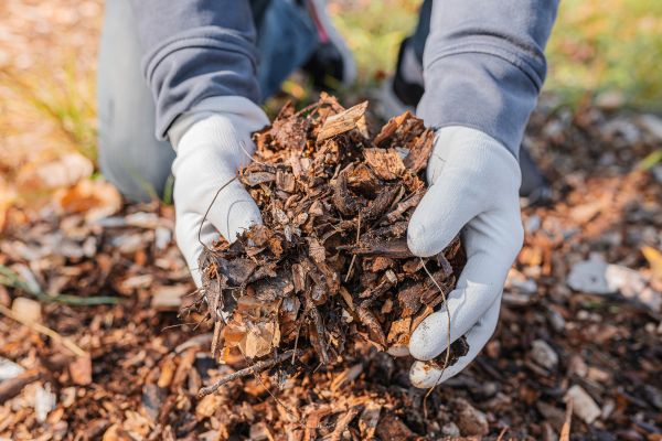 Shredded Mulch Installation in Anderson