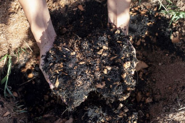 Organic Mulch Installation in Anderson