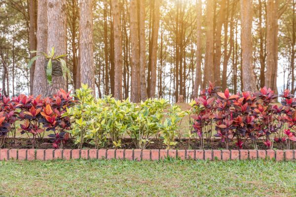 Small Garden Landscaping in Anderson