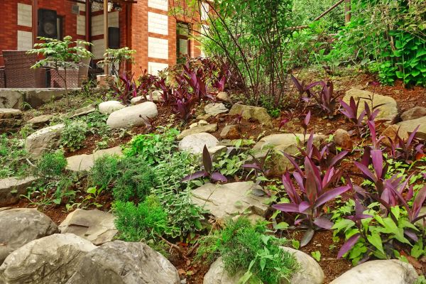 Rock Garden Landscaping in Anderson