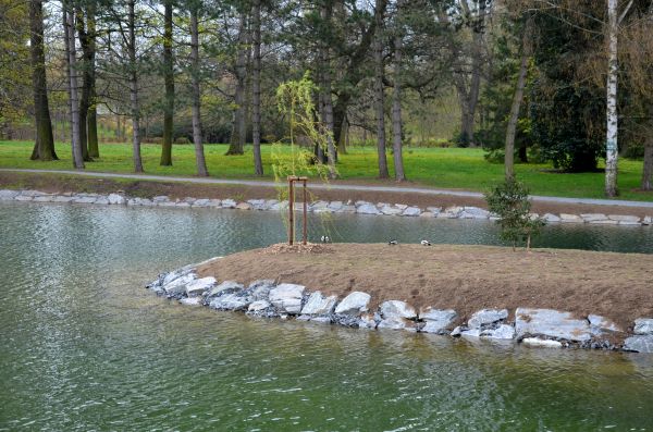 Pond Landscaping Service in Anderson