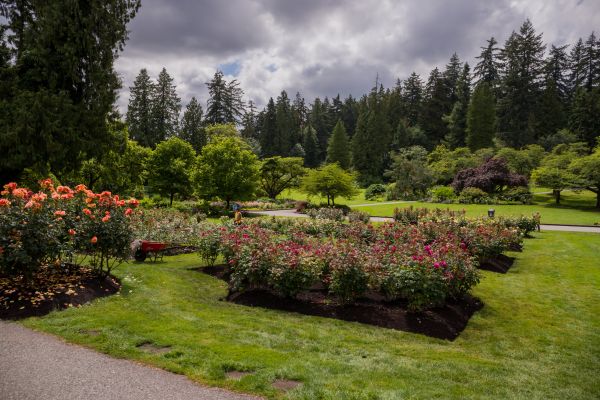 Flower Garden Landscaping in Anderson